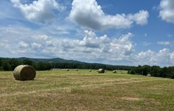 37286 County Road Ee-270, Vanzant, MO 65768