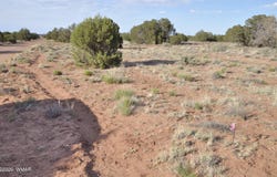 176 CR N5549, Concho, AZ 85924