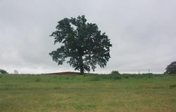 95 Means Drive, Platteville, WI 53818