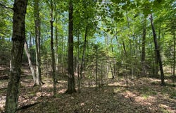 WOODHILL CT lot: 127, Minocqua, WI 54548