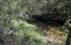 Belle Gardner Road, Amite, LA 70422