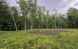 Pinecrest Drive, Gladwin, MI 48624