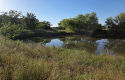 C. R. 2610, Ivanhoe, TX 75447