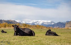 8 West Fork Road, Nye, MT 59061