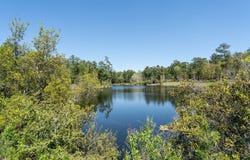 Black Squirrel Road E, Brookeland, TX 75931