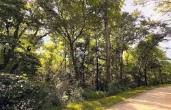 Nix Rd, Bremen, GA 30110