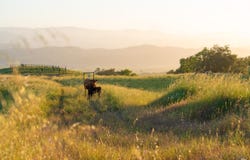 21350 River Road, Geyserville, CA 95441