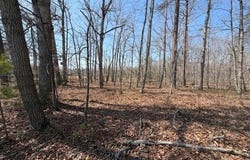 COUNTRYSIDE LANE - LOT 1, LIGNUM, VA 22726
