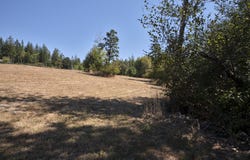 NE Lucia Falls Rd, BattleGround, WA 98604