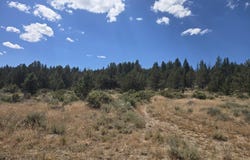 Tableland Road, Sprague River, OR 97639