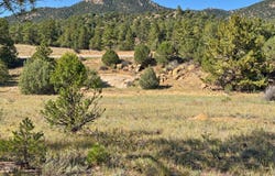 103 Cheyenne Ct, Cotopaxi, CO 81223