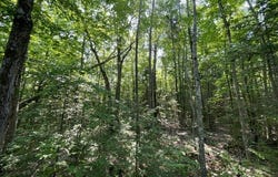 12552 N County Highway T, Hayward, WI 54843