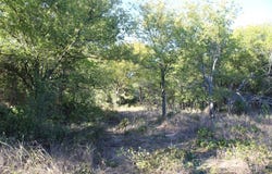 Eureka School Road, Nocona, TX 76255