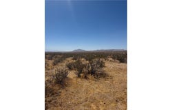39 Leaping Lizard Lane, Apple Valley, CA 92307