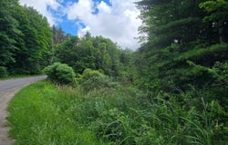 Williams Rd, Gouverneur, NY 13642