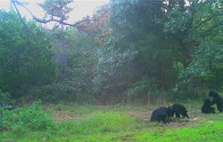 TBD 309 HWY, Paris, AR 72855