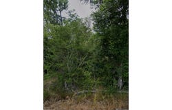 18943 Austin St, Springfield, LA 70462