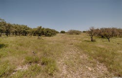 379 Bent Tree, Harper, TX 78631