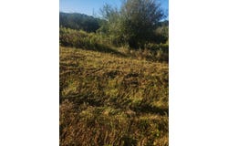 V/L Wise Road, Sheridan, MI 48884