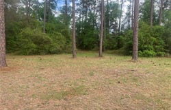 SE 19TH PL, SILVER SPRINGS, FL 34488