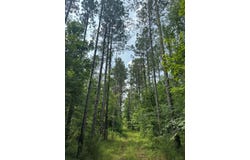 Maureen Lane, Butler, AL 36904