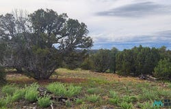 21 Wagon Circle, Quemado, NM 87829