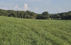 County Road 931, Thornfield, MO 65762