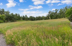 12458 Nature Court, Lolo, MT 59847