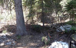 1601 Bear Trail Loop, Donnelly, ID 83615