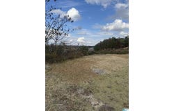 4329 HATHAWAY LANE lot: 502, MOUNT OLIVE, AL 35117