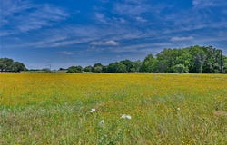 2165 County Road 250, Weimar, TX 78962
