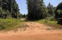 551 Pleasure Point Rd, Lone Star, TX 75668
