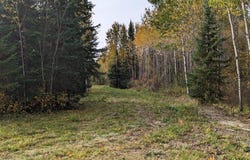 Deer River Line, Littlefork, MN 56653
