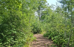 Parcel 1 County Road T, Danbury, WI 54830