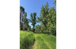 Indigo, Bozeman, MT 59715