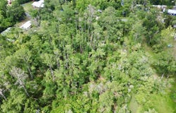 Calhoun St., Perry, FL 32348