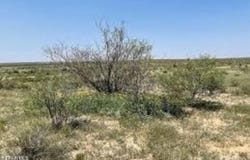 Sierra Blanca, TX 79851