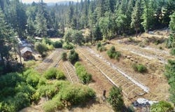 132 Horseshoe Loop, Hayfork, CA 96041