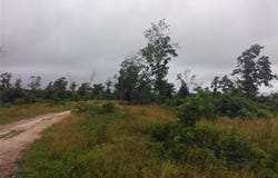 Tract 12, Belleview, MO 63623