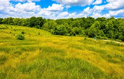 10 Cornetts Cv Road, Hustonville, KY 40437