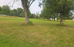 181 George Wade Rd, Guilford, NY 13780