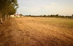 2206 Sandra Ln, Webberville, TX 78653