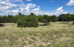 317 Bosque Ridge, Spring Branch, TX 78070