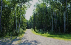 896 Moosehead Trail Highway, Jackson, ME 04921