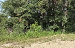 DEBRA Circle, Interlachen, FL 32148