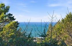 3 Saki Ln, Yachats, OR 97498