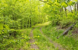 1361 Weaver Hollow Road, Andes, NY 13731