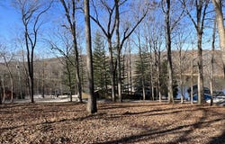 559 Hickman Shores Rd, DOVER, TN 37058