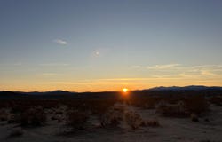 Sunburst Avenue, Joshua Tree, CA 92252