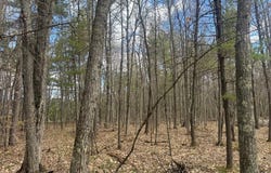 PINE BREEZE WAY lot: 5, Eagle River, WI 54521